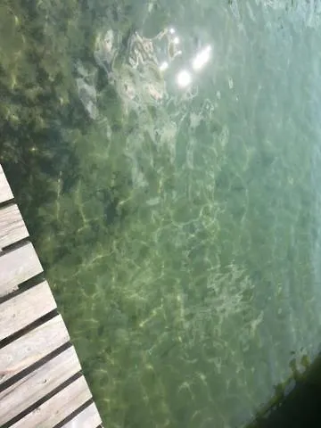 Дом отдыха Na Gorce Ransk